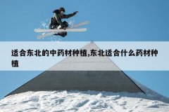 <b>�ʺ϶�������ҩ����ֲ,�����ʺ�ʲôҩ����ֲ</b>