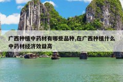 <b>������ֲ��ҩ������ЩƷ��,�ڹ�����ֲʲô��ҩ�ľ���Ч���</b>