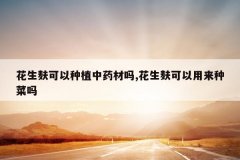 <b>�����������ֲ��ҩ����,��������������ֲ���</b>
