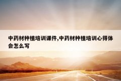 <b>��ҩ����ֲ��ѵ�μ�,��ҩ����ֲ��ѵ�ĵ������ôд</b>