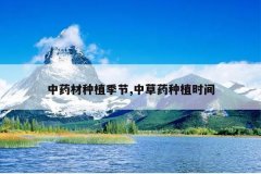 <b>��ҩ����ֲ����,�в�ҩ��ֲʱ��</b>