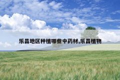 <b>�ֲ�������ֲ��Щ��ҩ��,�ֲ�ֲ��</b>