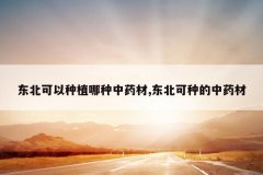 <b>����������ֲ������ҩ��,�������ֵ���ҩ��</b>