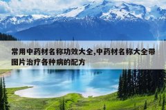 <b>������ҩ�����ƹ�Ч��ȫ,��ҩ�����ƴ�ȫ��ͼƬ���Ƹ��ֲ����䷽</b>