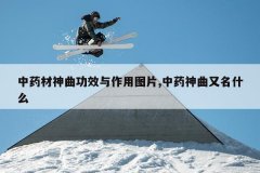 <b>��ҩ��������Ч������ͼƬ,��ҩ��������ʲô</b>