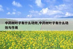 <b>��ҩ��Ҷ����ʲô��Ч,��ҩ��Ҷ����ʲô��Ч������</b>