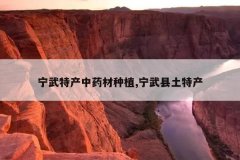 <b>�����ز���ҩ����ֲ,���������ز�</b>