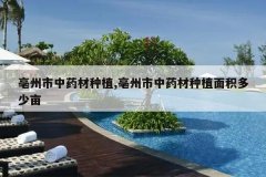 <b>��������ҩ����ֲ,��������ҩ����ֲ�������Ķ</b>