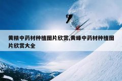 <b>�ƾ���ҩ����ֲͼƬ����,�Ʒ���ҩ����ֲͼƬ���ʹ�ȫ</b>