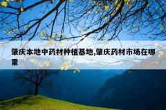 <b>���챾����ҩ����ֲ����,����ҩ���г�������</b>