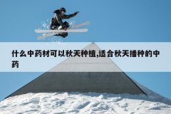 <b>ʲô��ҩ�Ŀ���������ֲ,�ʺ����첥�ֵ���ҩ</b>