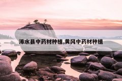 <b>�ˮ����ҩ����ֲ,�Ƹ���ҩ����ֲ</b>