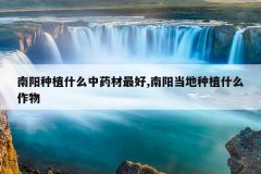 <b>������ֲʲô��ҩ�����,����������ֲʲô����</b>