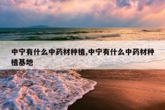 <b>������ʲô��ҩ����ֲ,������ʲô��ҩ����ֲ����</b>