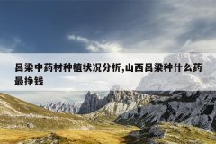 <b>������ҩ����ֲ״������,ɽ��������ʲôҩ����Ǯ</b>