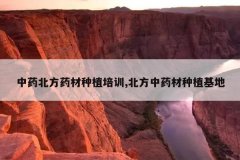 <b>��ҩ����ҩ����ֲ��ѵ,������ҩ����ֲ����</b>