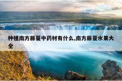 <b>��ֲ�Ϸ�������ҩ����ʲô,�Ϸ�����ˮ����ȫ</b>