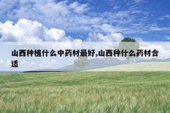 <b>ɽ����ֲʲô��ҩ�����,ɽ����ʲôҩ�ĺ���</b>