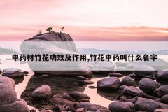 <b>ҩ񻨹Ч,ҩʲô</b>