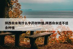 <b>������ˮ��ʲô��ҩ����ֲ,������ˮ�ʲ��ʺ���ֲ</b>