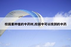 <b>У԰����ֲ����ҩ��,У԰�п����ҵ�����ҩ</b>