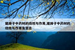 <b>��������ҩ�ĵĹ�Ч������,��������ҩ�ĵĹ�Ч�����ü�����</b>