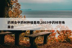 <b>ҩ������ҩ����ֲ����,2019��ҩ���г�չ��</b>