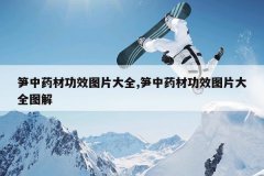 <b>����ҩ�Ĺ�ЧͼƬ��ȫ,����ҩ�Ĺ�ЧͼƬ��ȫͼ��</b>