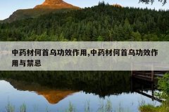 <b>��ҩ�ĺ����ڹ�Ч����,��ҩ�ĺ����ڹ�Ч���������</b>