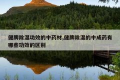 <b>��Ƣ��ʪ��Ч����ҩ��,��Ƣ��ʪ���г�ҩ����Щ��Ч������</b>