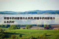 <b>��ֲ��ҩ�Ķ���ʲôũҩ,��ֲ��ҩ�Ķ���ʲôũҩ��</b>