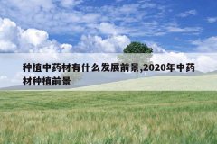 <b>ֲҩʲôչǰ,2020ҩֲǰ</b>