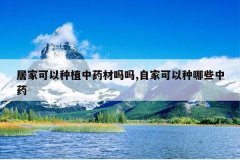 <b>�Ӽҿ�����ֲ��ҩ������,�Լҿ�������Щ��ҩ</b>