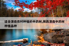 <b>�ʺ�μ��ũ����ֲ����ҩ��,����μ����ҩ����ֲƷ��</b>