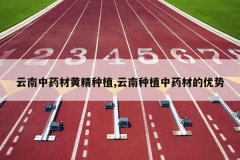 <b>������ҩ�Ļƾ���ֲ,������ֲ��ҩ�ĵ�����</b>