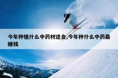 <b>������ֲʲô��ҩ���ʺ�,������ʲô��ҩ��׬Ǯ</b>