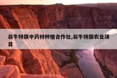 <b>��ţ������ҩ����ֲ������,��ţ����ũҵ��Ŀ</b>