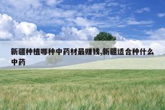 <b>�½���ֲ������ҩ����׬Ǯ,�½��ʺ���ʲô��ҩ</b>