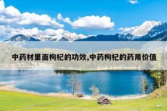 <b>��ҩ��������轵Ĺ�Ч,��ҩ��轵�ҩ�ü�ֵ</b>