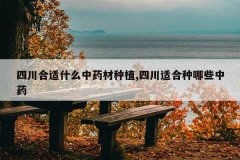 <b>�Ĵ�����ʲô��ҩ����ֲ,�Ĵ��ʺ�����Щ��ҩ</b>