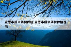 <b>������ʢ��ҩ����ֲ,������ʢ��ҩ����ֲ����</b>