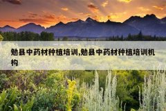<b>������ҩ����ֲ��ѵ,������ҩ����ֲ��ѵ����</b>