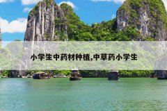 <b>Сѧ����ҩ����ֲ,�в�ҩСѧ��</b>