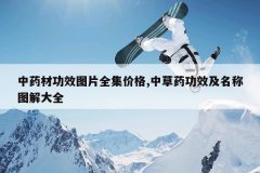 <b>��ҩ�Ĺ�ЧͼƬȫ���۸�,�в�ҩ��Ч������ͼ���ȫ</b>