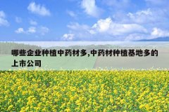 <b>��Щ��ҵ��ֲ��ҩ�Ķ�,��ҩ����ֲ���ض�����й�˾</b>