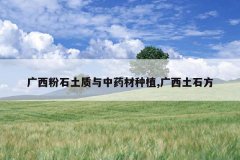 <b>������ʯ��������ҩ����ֲ,������ʯ��</b>