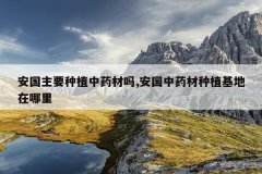 <b>������Ҫ��ֲ��ҩ����,������ҩ����ֲ����������</b>