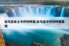 <b>פ���걾����ҩ����ֲ,פ������ҩ����ֲ����</b>