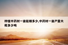 <b>��ֲ��ҩ��һĶ��׬����,��ҩ��һĶ������Ŷ��ٶ�</b>