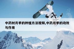 <b>��ҩ���¼�����ֲ������Ƶ,��ҩ�¼��Ĺ�Ч������</b>